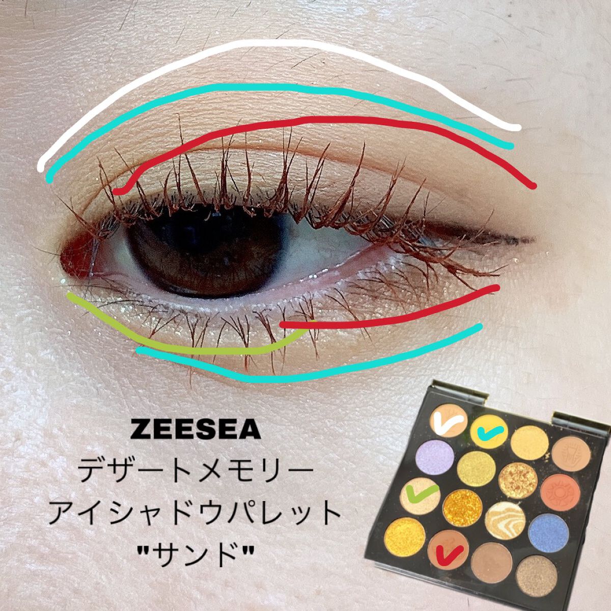 クイックラッシュカーラー/キャンメイク/マスカラ下地を使ったクチコミ（2枚目）