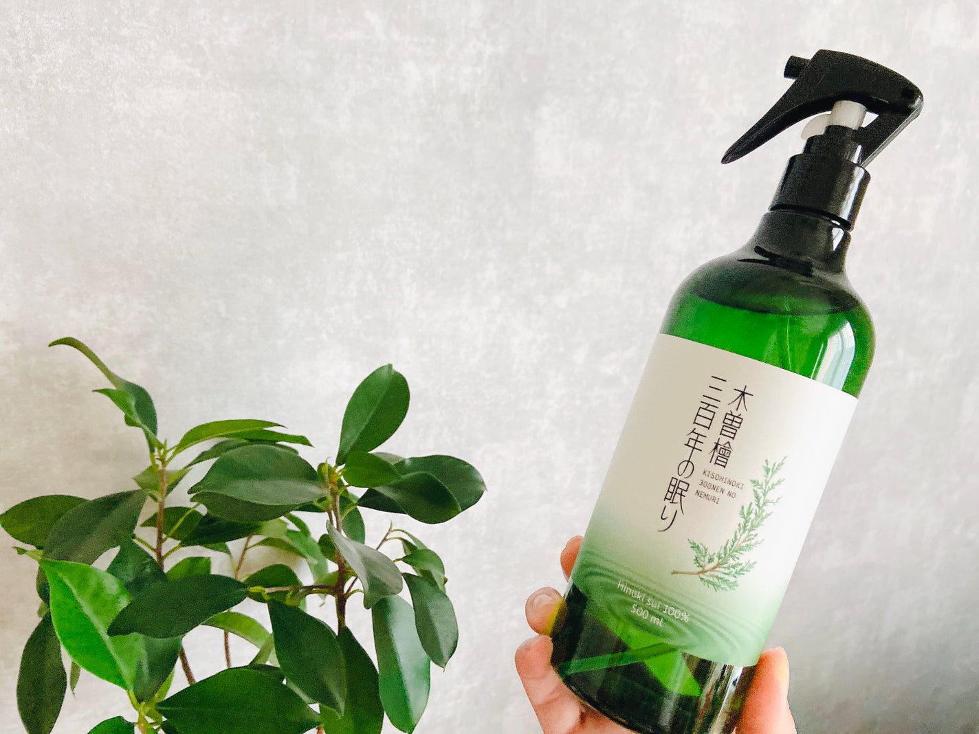 木曽檜300年の眠り 消臭スプレー/ミロビーナ/その他を使ったクチコミ(3枚目)