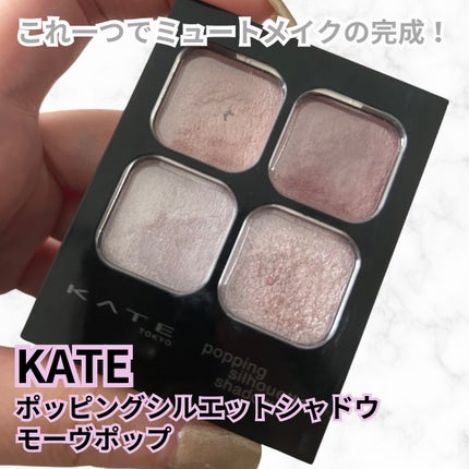 ケイト ポッピングシルエットシャドウ/KATE/アイシャドウパレットを使ったクチコミ(1枚目)