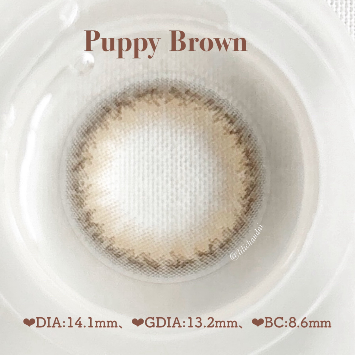 Cheritta 1day パピーブラウン(Puppy Brown)/Cheritta/ワンデー（１DAY）カラコンを使ったクチコミ（3枚目）