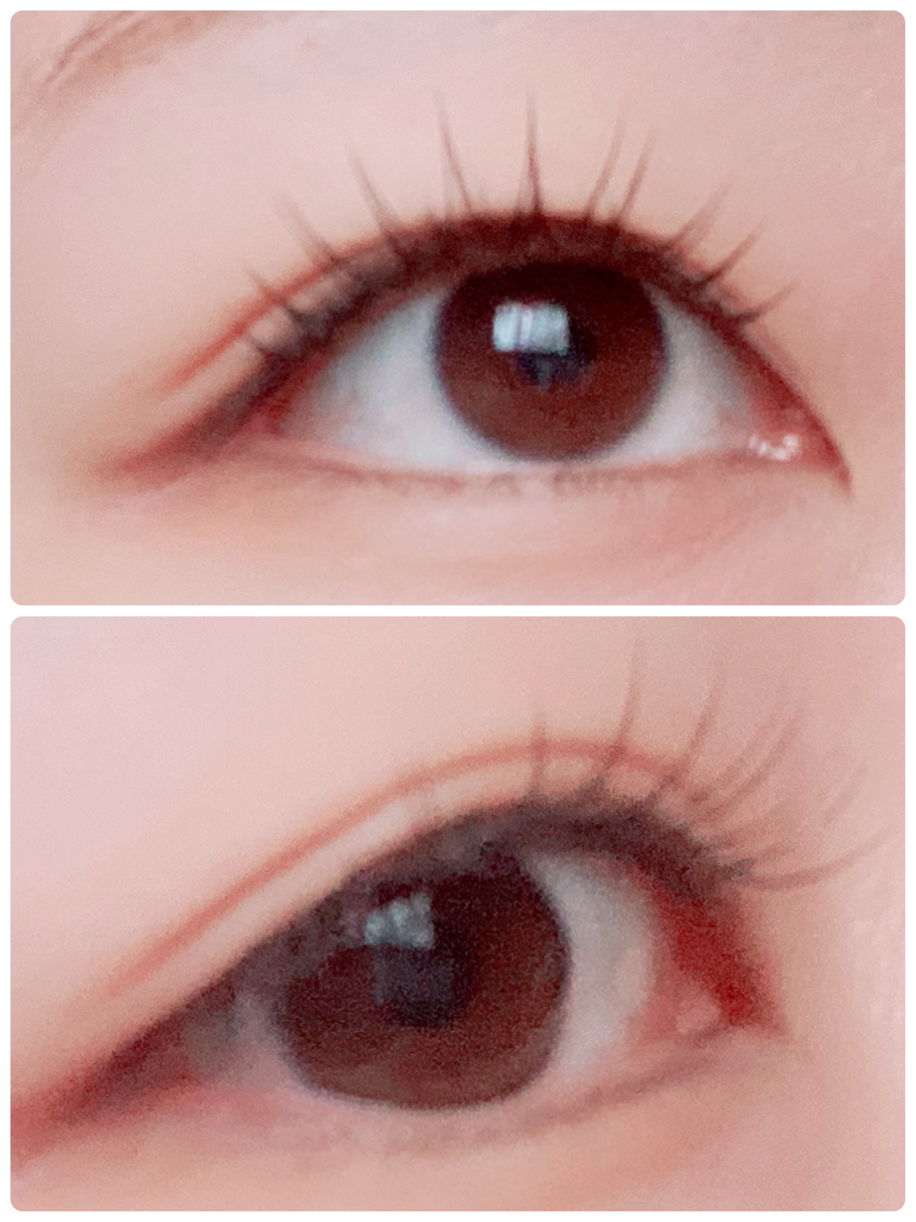 ミッシュブルーミン アイラッシュ インフィニティライン/ミッシュブルーミン/つけまつげを使ったクチコミ（2枚目）