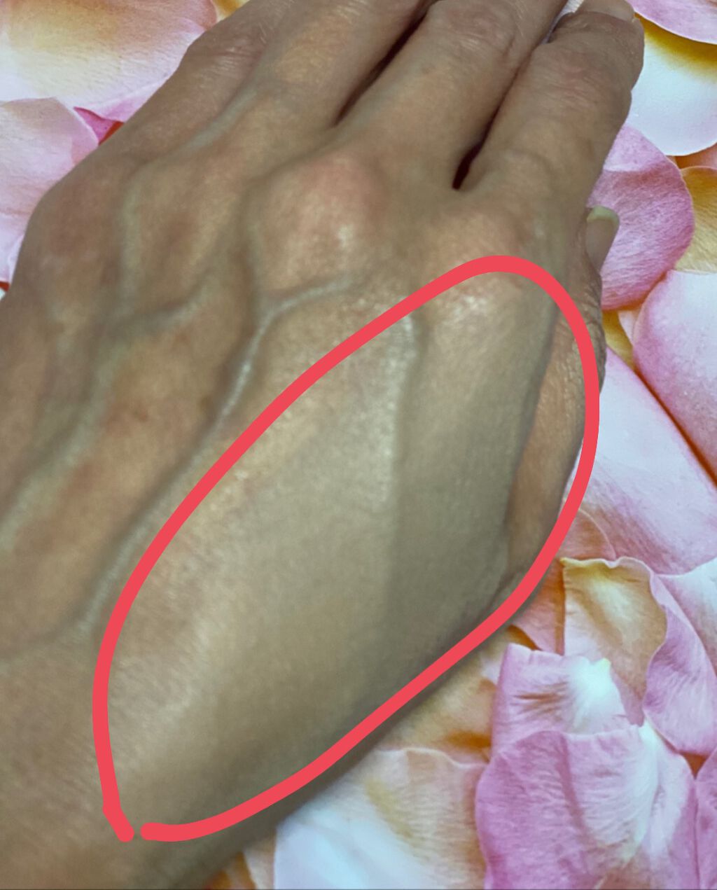 プレミアムＢＢクリーム １/グレイシィ/BBクリームを使ったクチコミ（1枚目）