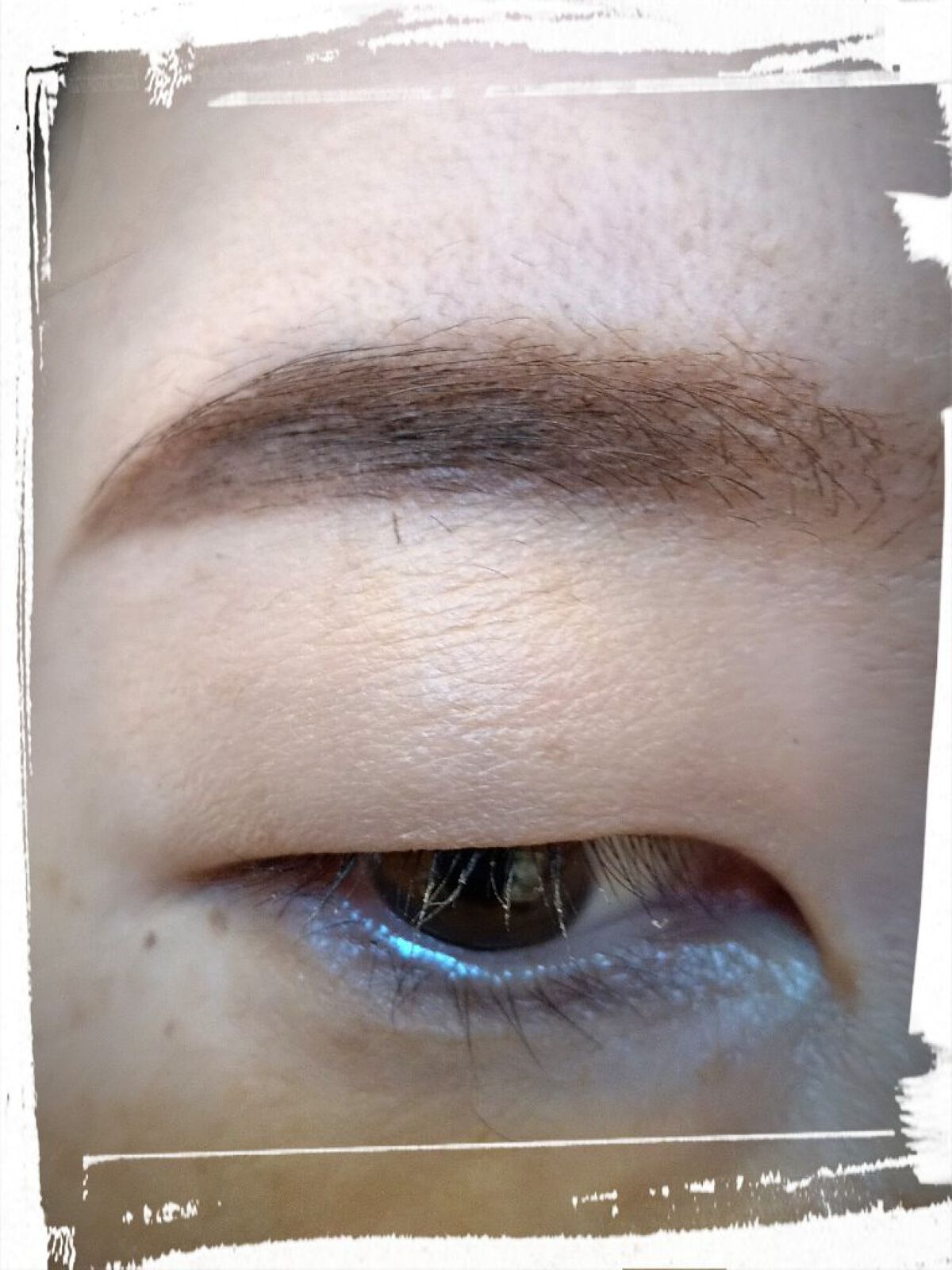 URGLAM　EYEBROW MASCARA a（アイブロウマスカラa）/U R GLAM/眉マスカラを使ったクチコミ（3枚目）