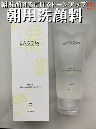 ラゴム ジェルトゥウォーター クレンザー(朝用洗顔)/LAGOM /洗顔フォームを使ったクチコミ（1枚目）