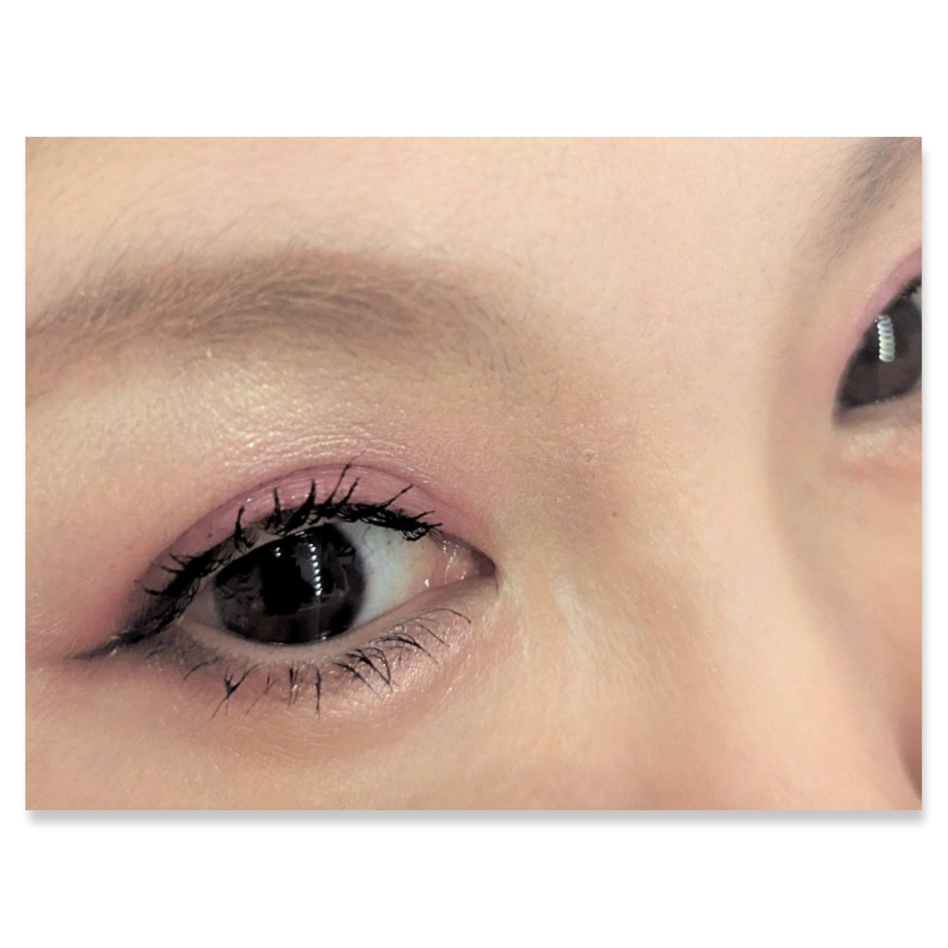 シーズナルブレンディングアイシャドウパレット 03 Re_Play Pink/Peach C/アイシャドウパレットを使ったクチコミ（2枚目）