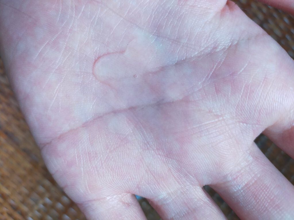 潤浸保湿 フェイスクリーム/キュレル/フェイスクリームを使ったクチコミ(3枚目)