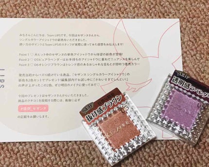 シングルカラーアイシャドウ/CEZANNE/単色アイシャドウを使ったクチコミ(1枚目)