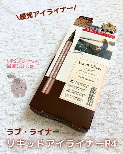 リキッドアイライナーR4/ラブ・ライナー/リキッドアイライナーを使ったクチコミ(1枚目)