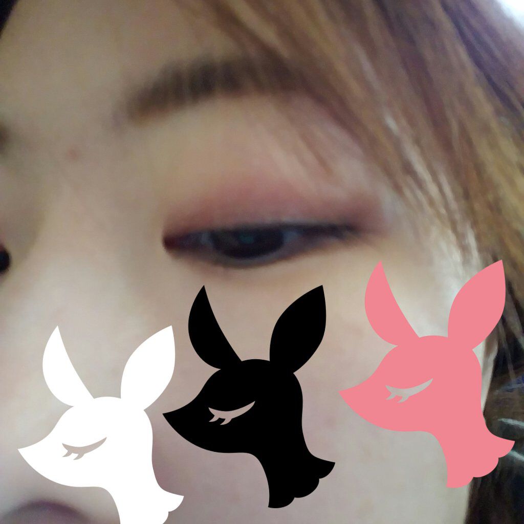 シルキースフレアイズ/キャンメイク/アイシャドウパレットを使ったクチコミ(2枚目)