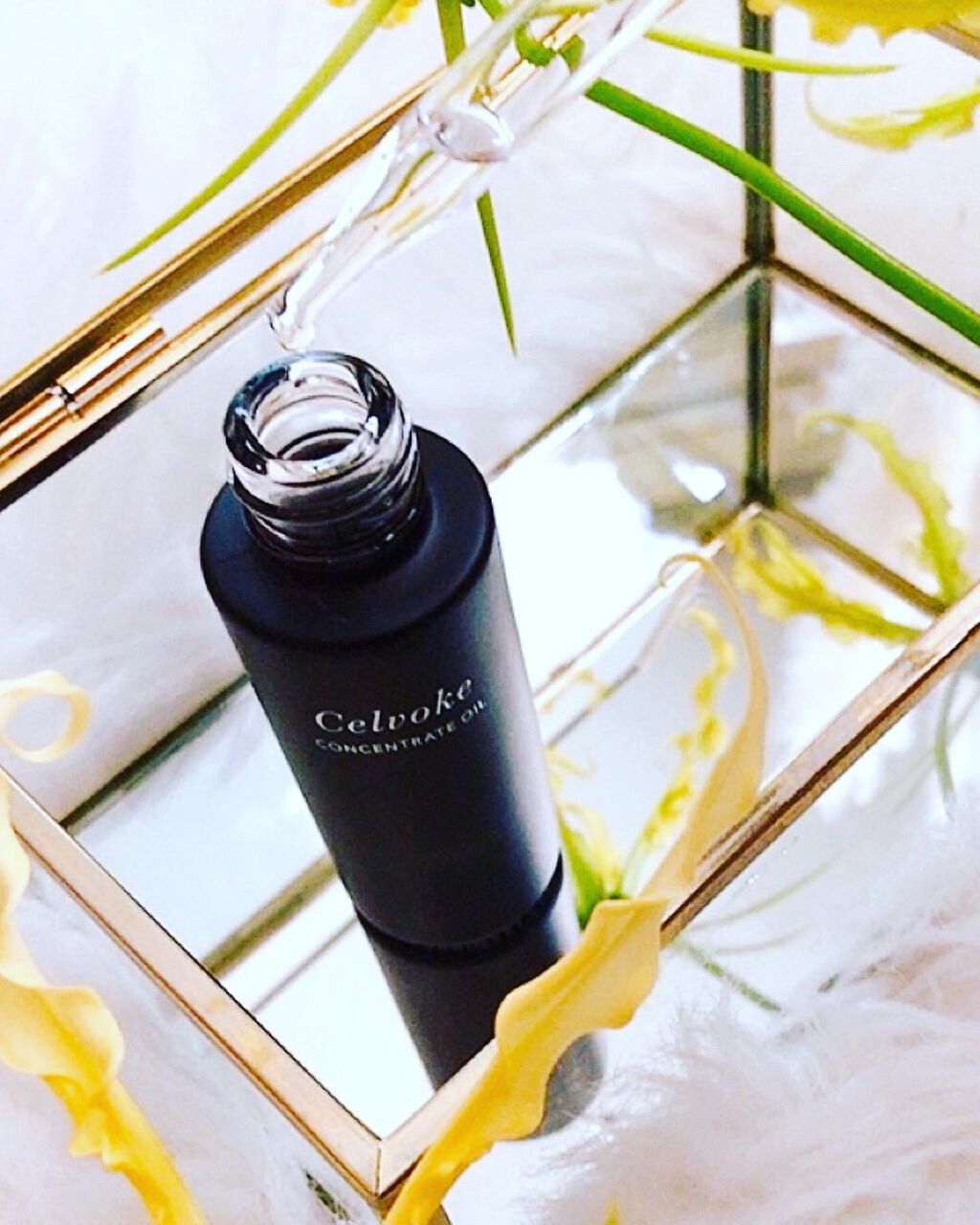 セルヴォーク コンセントレートオイル/Celvoke/フェイスオイルを使ったクチコミ（1枚目）