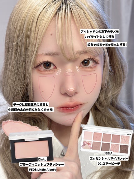 ブラーフィニシュブラッシャー/Dinto/パウダーチークを使ったクチコミ(5枚目)