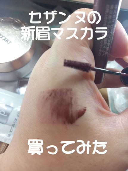極細アイブロウマスカラ/CEZANNE/眉マスカラを使ったクチコミ(1枚目)