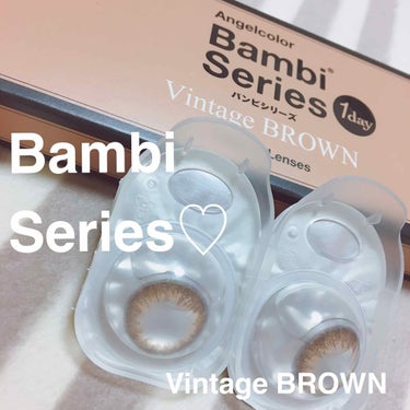 Angelcolor Bambi Series Vintage 1day/AngelColor/ワンデー（１DAY）カラコンを使ったクチコミ（1枚目）