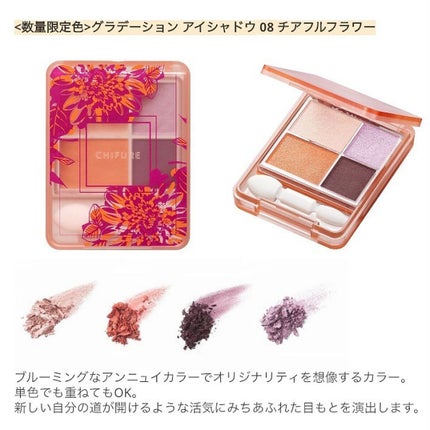 グラデーション アイシャドウ/ちふれ/アイシャドウパレットを使ったクチコミ(3枚目)