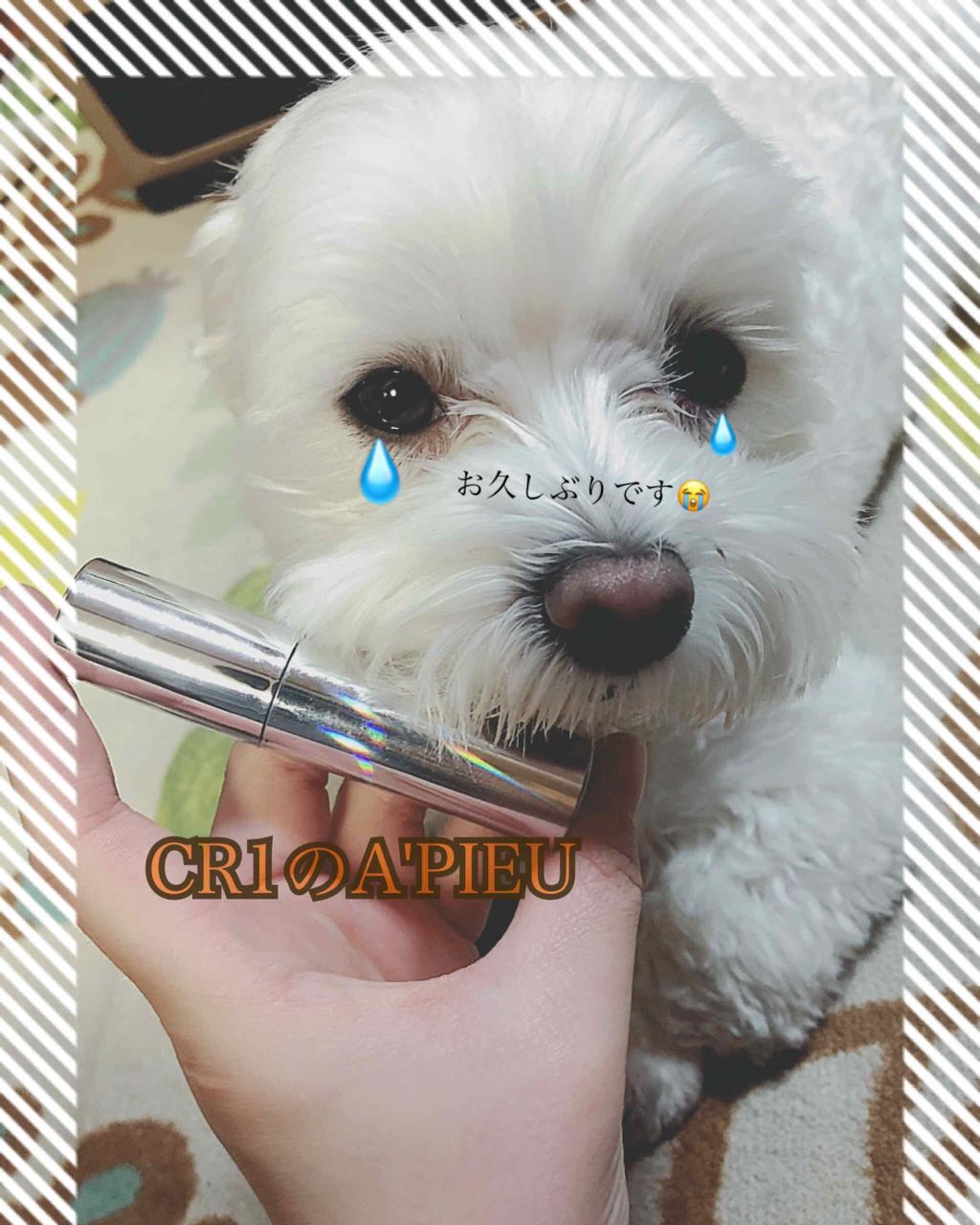 アピュー ウォーターライト ティント/A’pieu/リップティントを使ったクチコミ(1枚目)