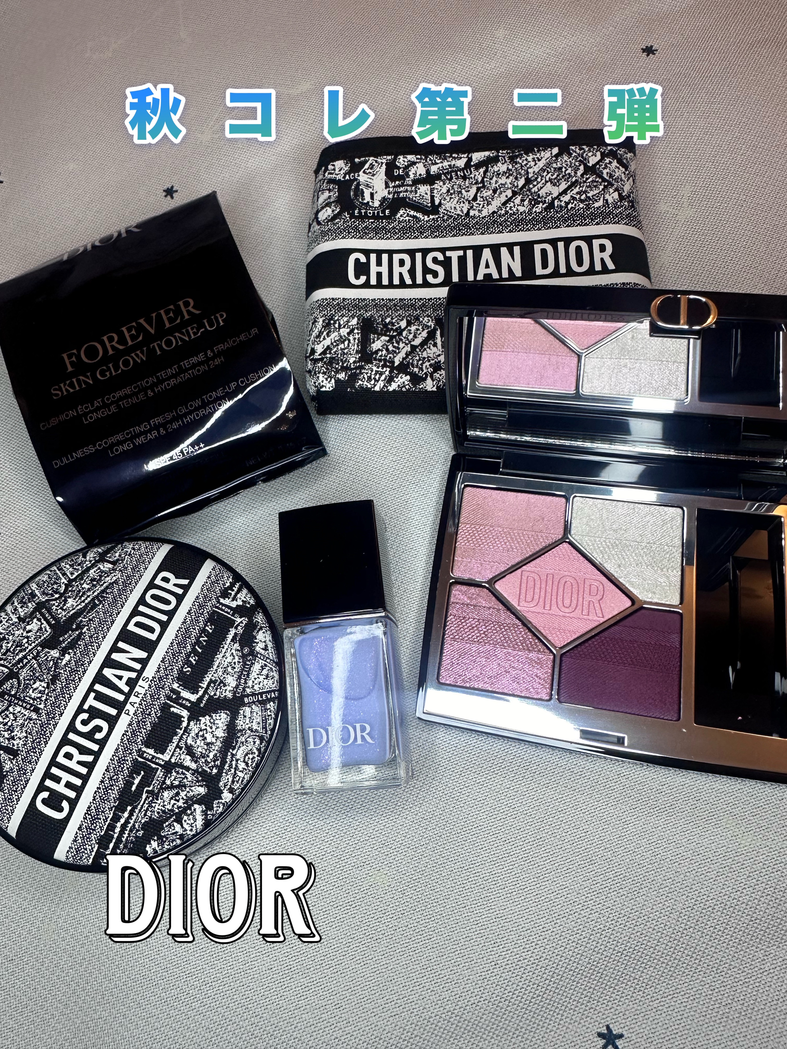 超美品】Christian Dior パリ地図クッション(箱付き) 【公式通販】