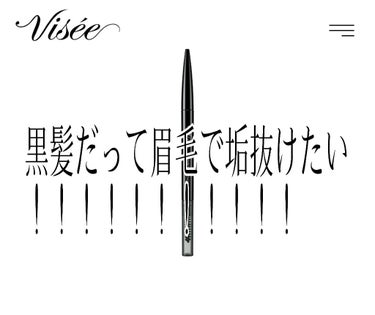 Visée アイブロウペンシルSのクチコミ「【黒髪ブスだって眉毛で垢抜けたい！！！！！！！！！！！】

段々サムネが雑になっているあさので.....」（1枚目）