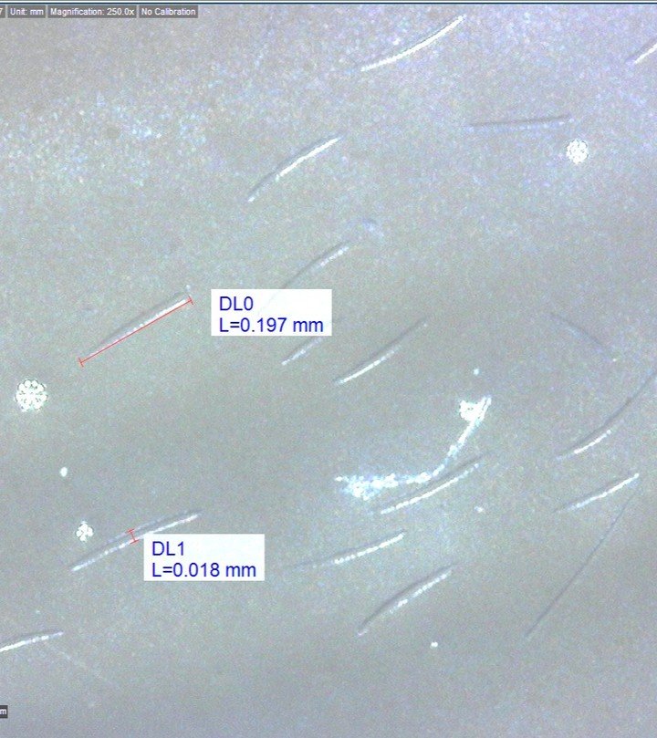 ゼロ1DAYエクソソームショット7500/MEDICUBE/美容液を使ったクチコミ（2枚目）