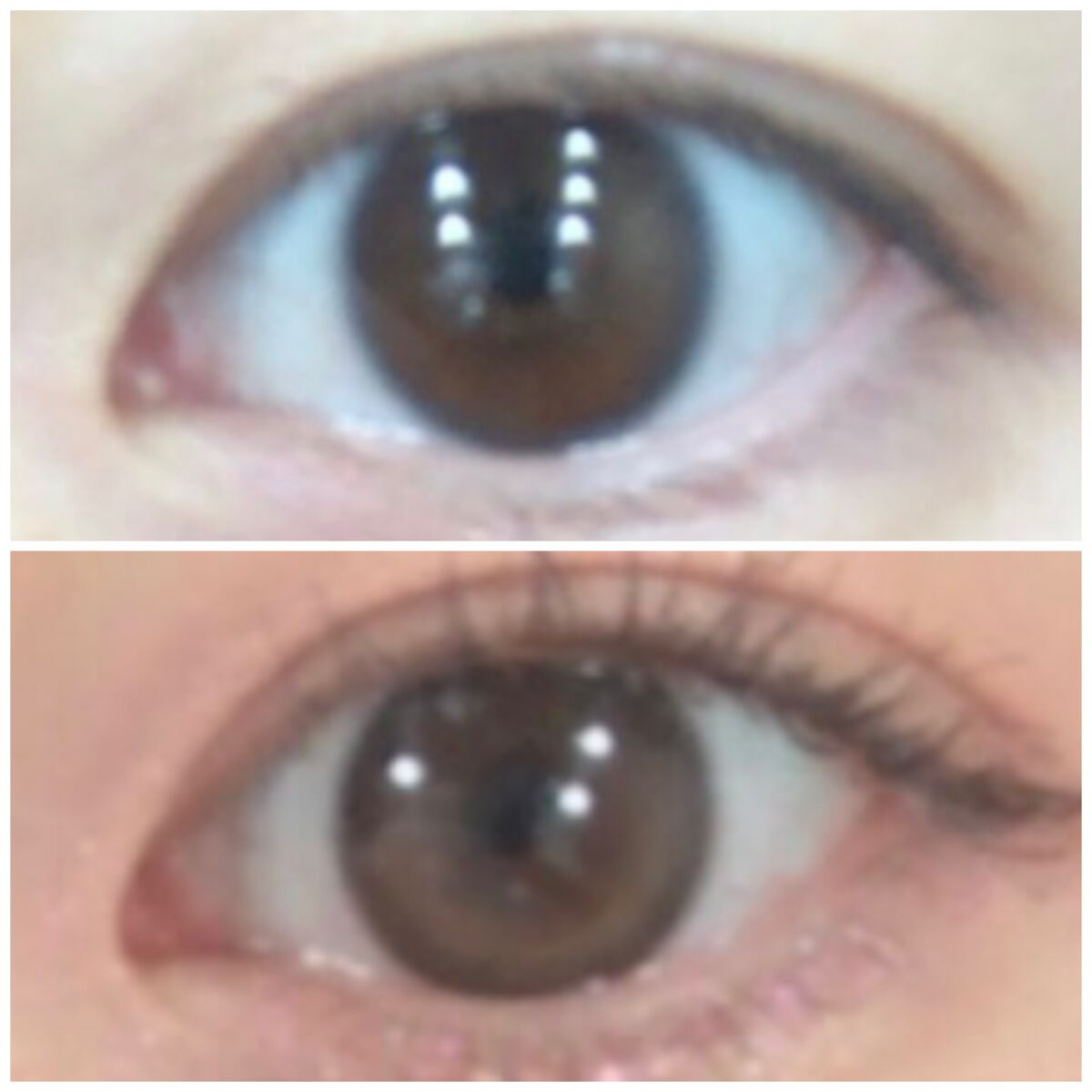 Secretive Kristen/Hapa kristin/カラーコンタクトレンズを使ったクチコミ（3枚目）