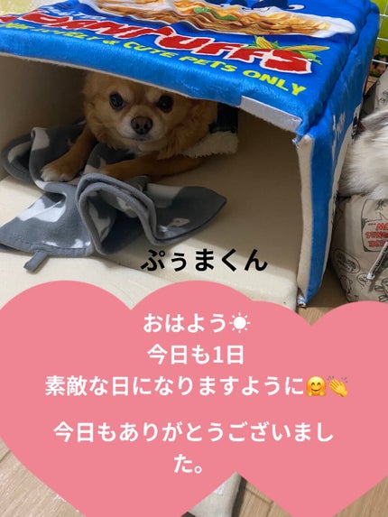 マルチグリッターカラー/ENBAN TOKYO/単色アイシャドウを使ったクチコミ(7枚目)