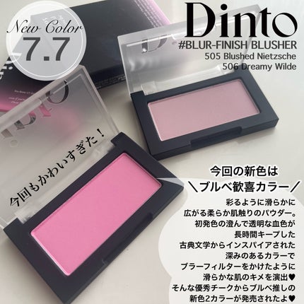 ブラーフィニシュブラッシャー/Dinto/パウダーチークを使ったクチコミ(2枚目)