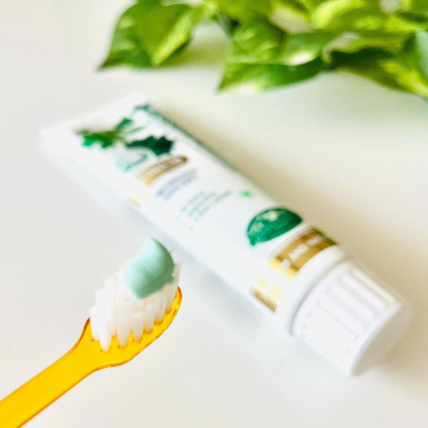 デンティス Pro-B チューブタイプ/デンティス/歯磨き粉を使ったクチコミ(3枚目)