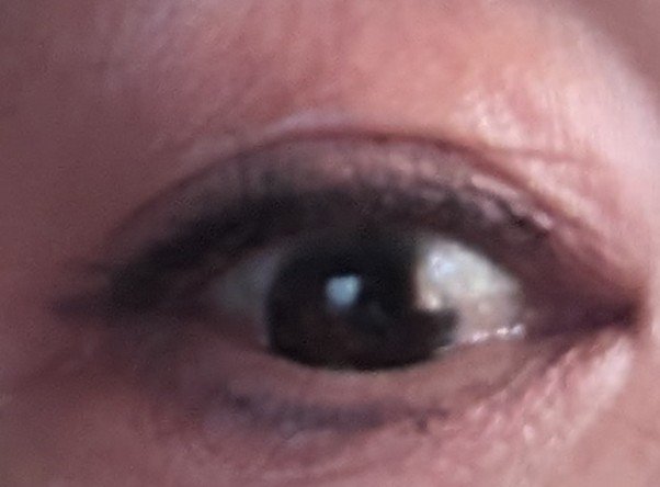 ニュアンス デューイ クリエイター/Visée/アイシャドウパレットを使ったクチコミ（2枚目）