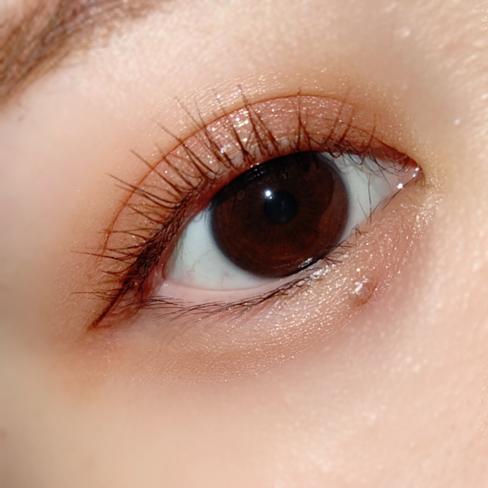 ケイト ポッピングシルエットシャドウ/KATE/アイシャドウパレットを使ったクチコミ（2枚目）