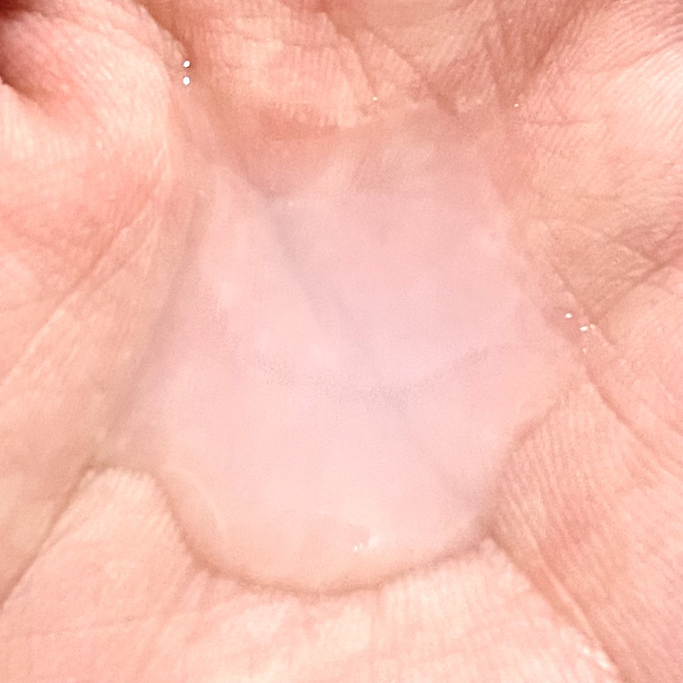 ハトムギ化粧水(ナチュリエ スキンコンディショナー R )/ナチュリエ/化粧水を使ったクチコミ（2枚目）