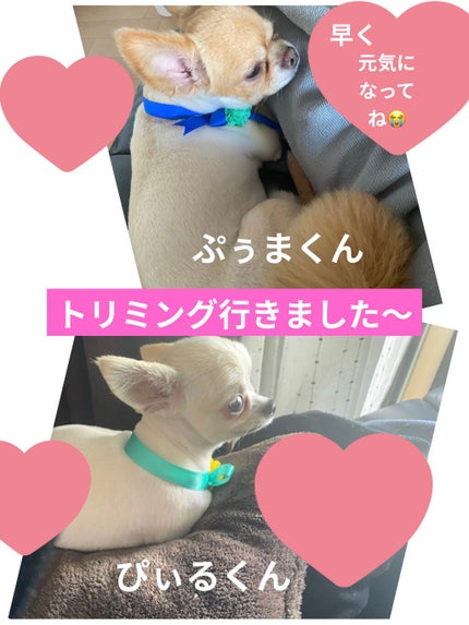 デュイセル プライベートケアマスク/DEWYCEL/シートマスク・パックを使ったクチコミ(10枚目)