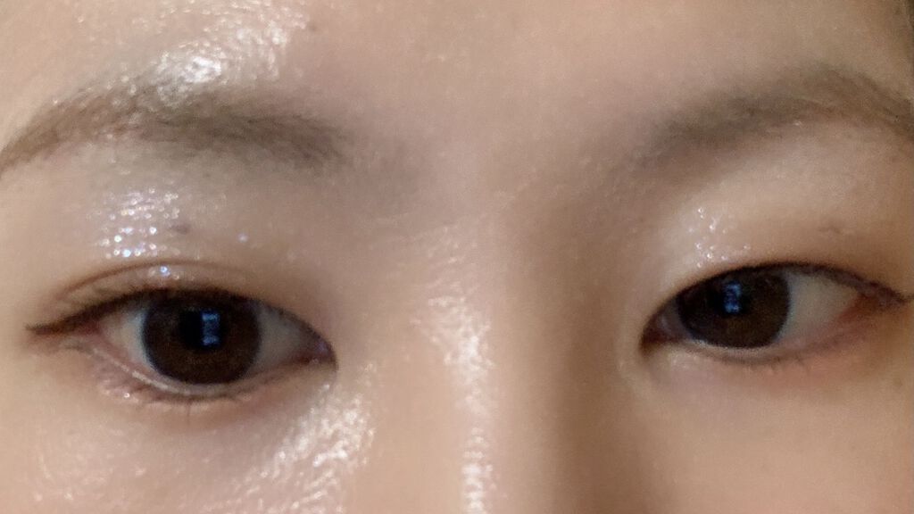 ナイストゥミーチュートランク VI 北半球/MAJOLICA MAJORCA/アイシャドウパレットを使ったクチコミ（3枚目）