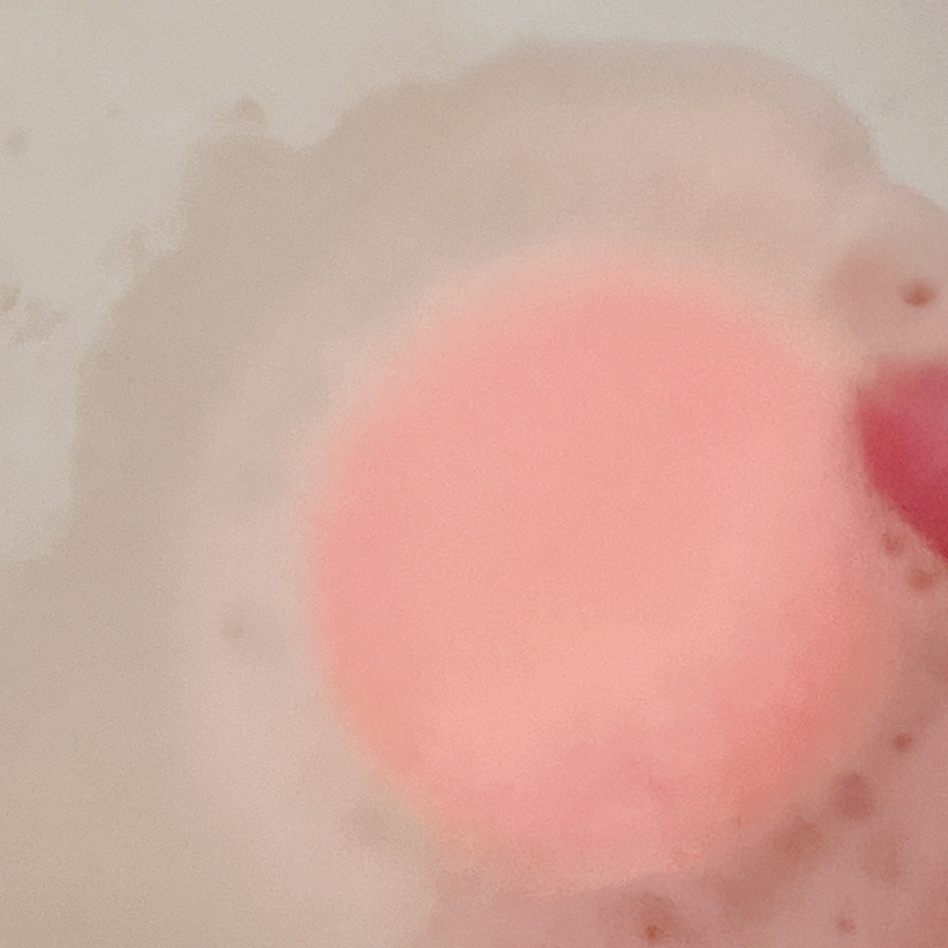 meshimase バスタブレット リフレッシュ＆ジューシーなベルガモットの香り 1回分（30g×2錠）/meshimase/炭酸系入浴剤を使ったクチコミ（3枚目）