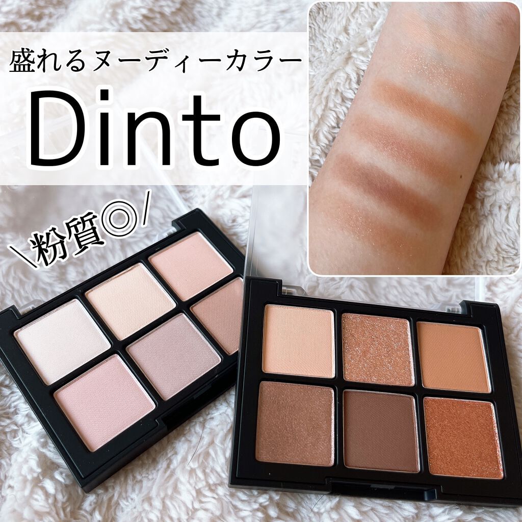 ブラーフィニシュシャドウパレット/Dinto/アイシャドウパレットを使ったクチコミ（1枚目）