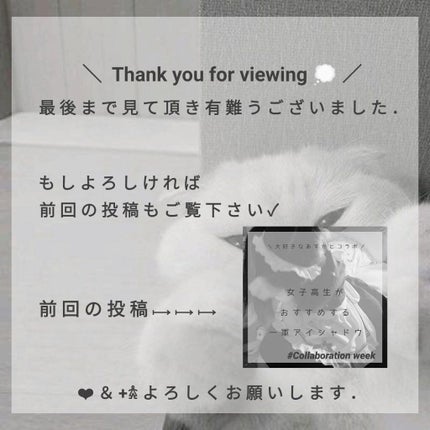 パウダーアイブロウR/CEZANNE/パウダーアイブロウを使ったクチコミ(6枚目)