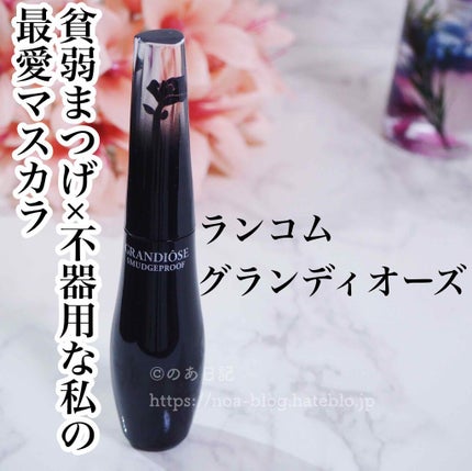グランディオーズ/LANCOME/マスカラを使ったクチコミ(1枚目)
