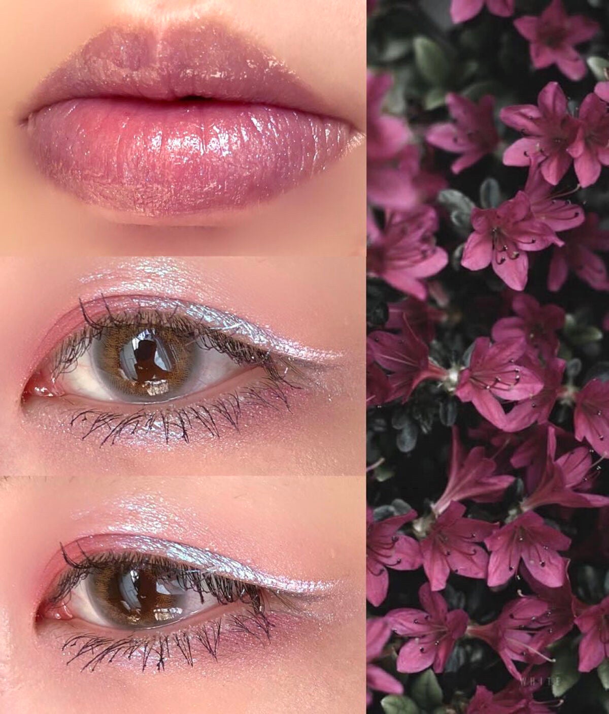 プリズムヴィーナス アイズ/Visée/アイシャドウパレットを使ったクチコミ(3枚目)