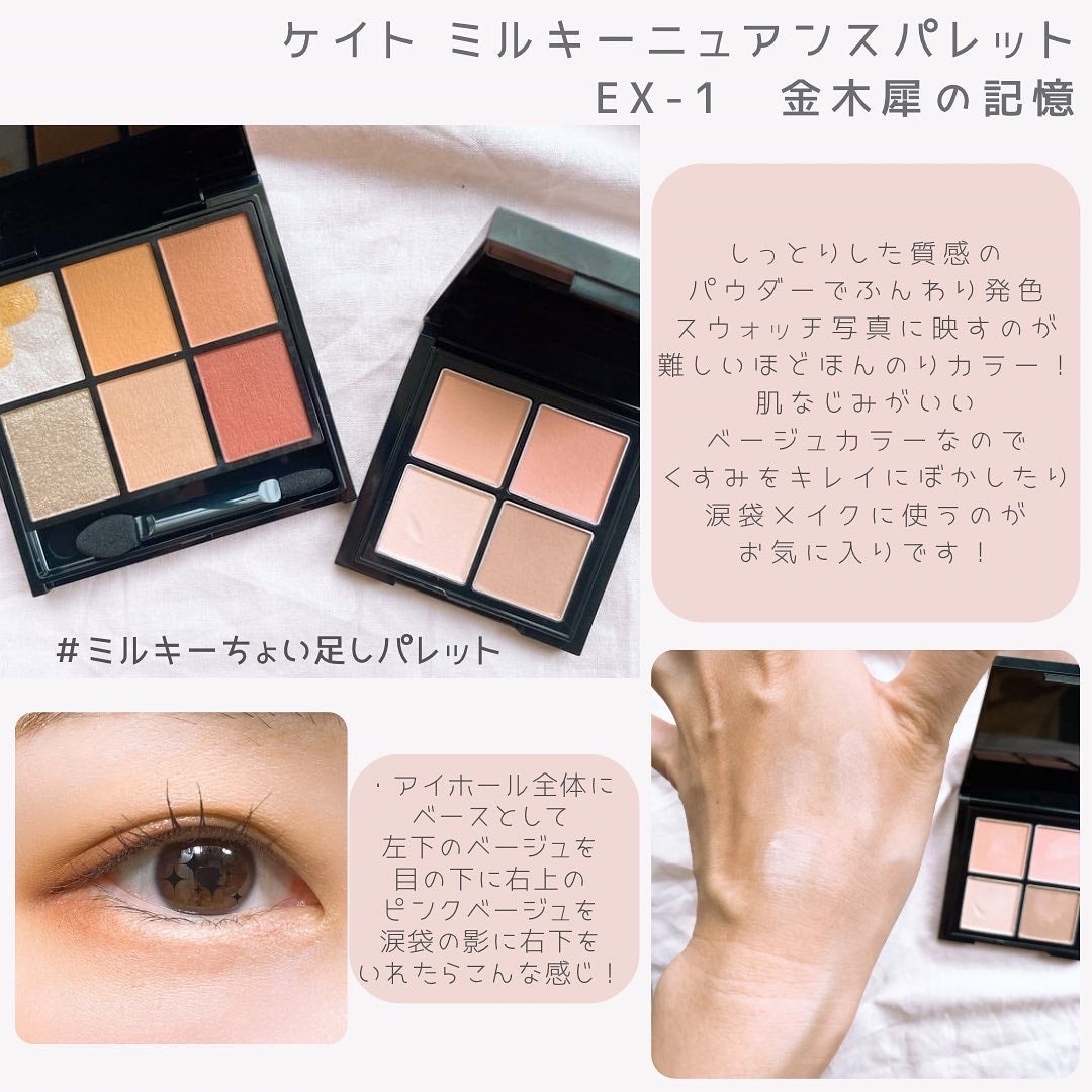 キャンバスペイントパレット/KATE/マルチパレットを使ったクチコミ(5枚目)