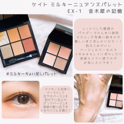 キャンバスペイントパレット/KATE/マルチパレットを使ったクチコミ(5枚目)