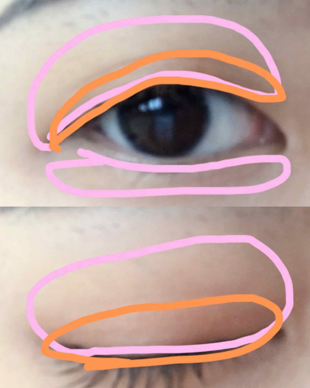 カンコレアイシャドウ/DAISO/アイシャドウパレットを使ったクチコミ（2枚目）