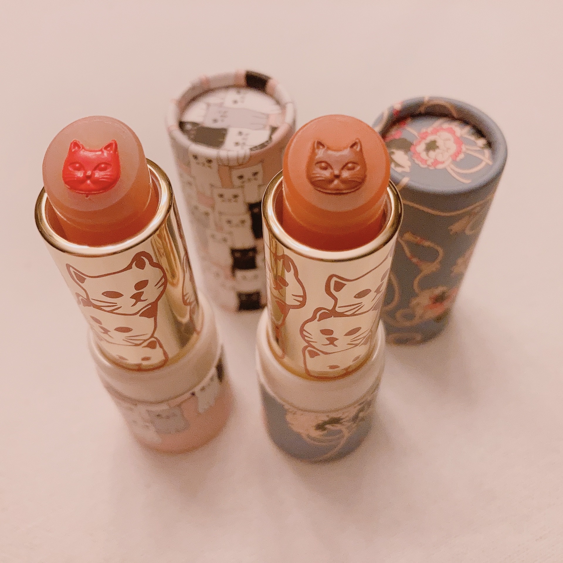 リップスティック L/PAUL & JOE BEAUTE/口紅を使ったクチコミ（1枚目）