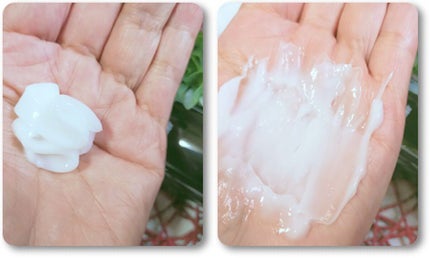 VM シャイン シャンプー & コンディショナー/FForward/市販シャンプーを使ったクチコミ(2枚目)