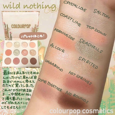 ColourPop  ワイルドナッシングのクチコミ「【ColourPop】Wild Nothing
サボテンパレット🌵🏜です！
穏やかなカラーが多.....」（2枚目）