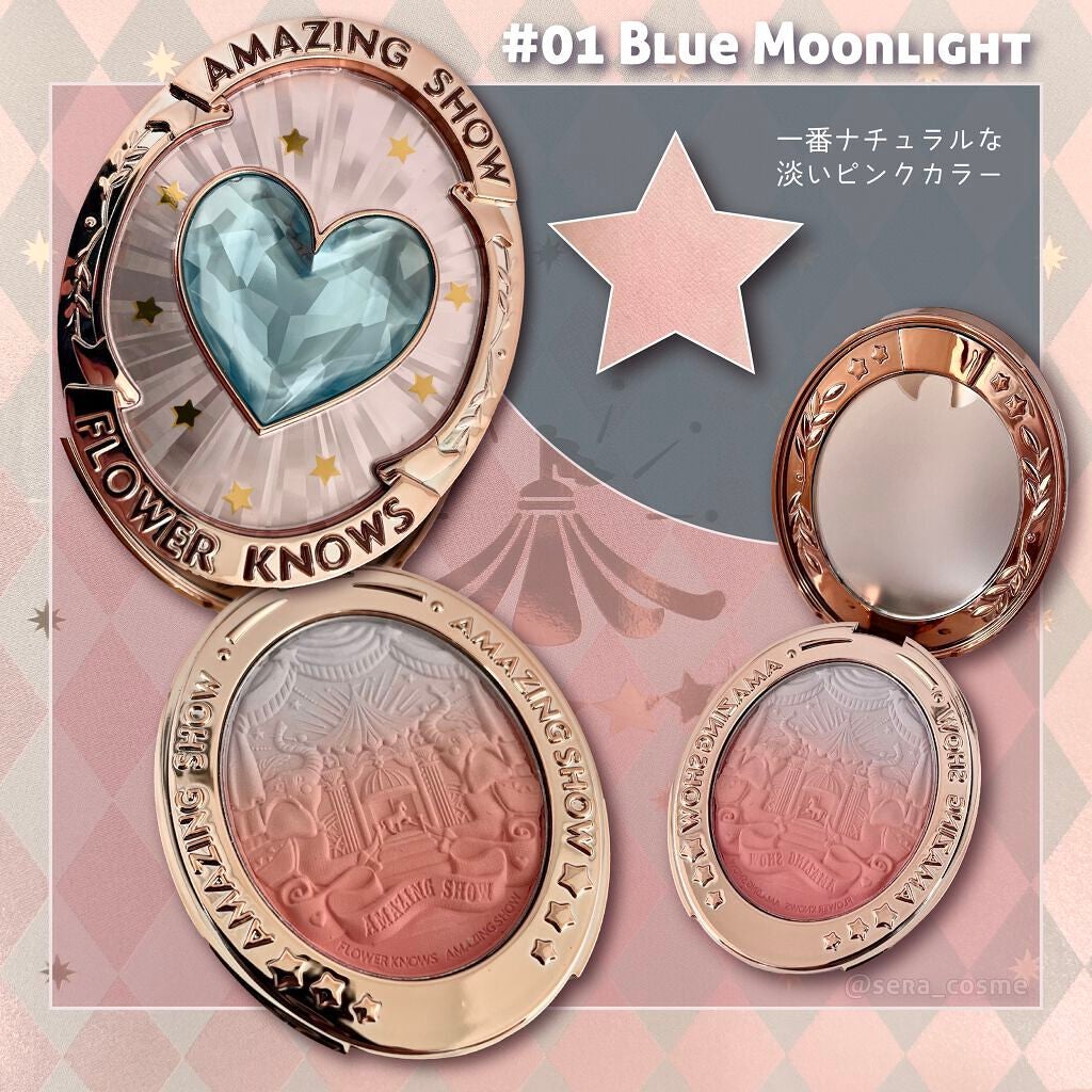 サーカスシリーズ グラデーションブラッシュ /FlowerKnows/パウダーチークを使ったクチコミ(2枚目)