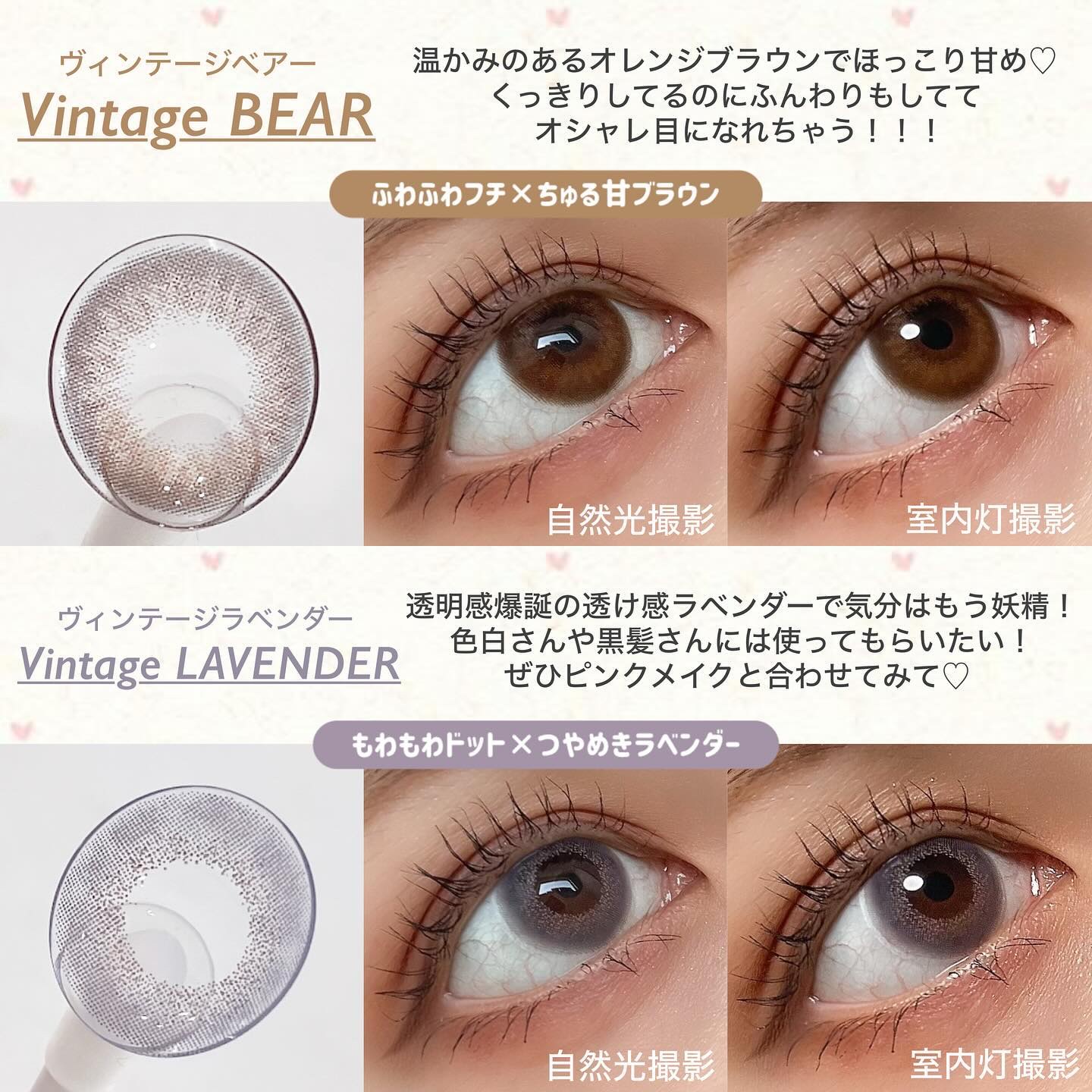 Angelcolor Bambi Series Vintage 1day ヴィンテージベアー/AngelColor/ワンデー（１DAY）カラコンを使ったクチコミ（2枚目）