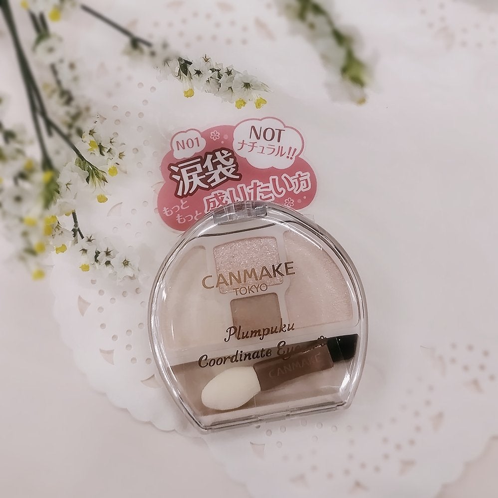 プランぷくコーデアイズNeo/キャンメイク/アイシャドウを使ったクチコミ(1枚目)