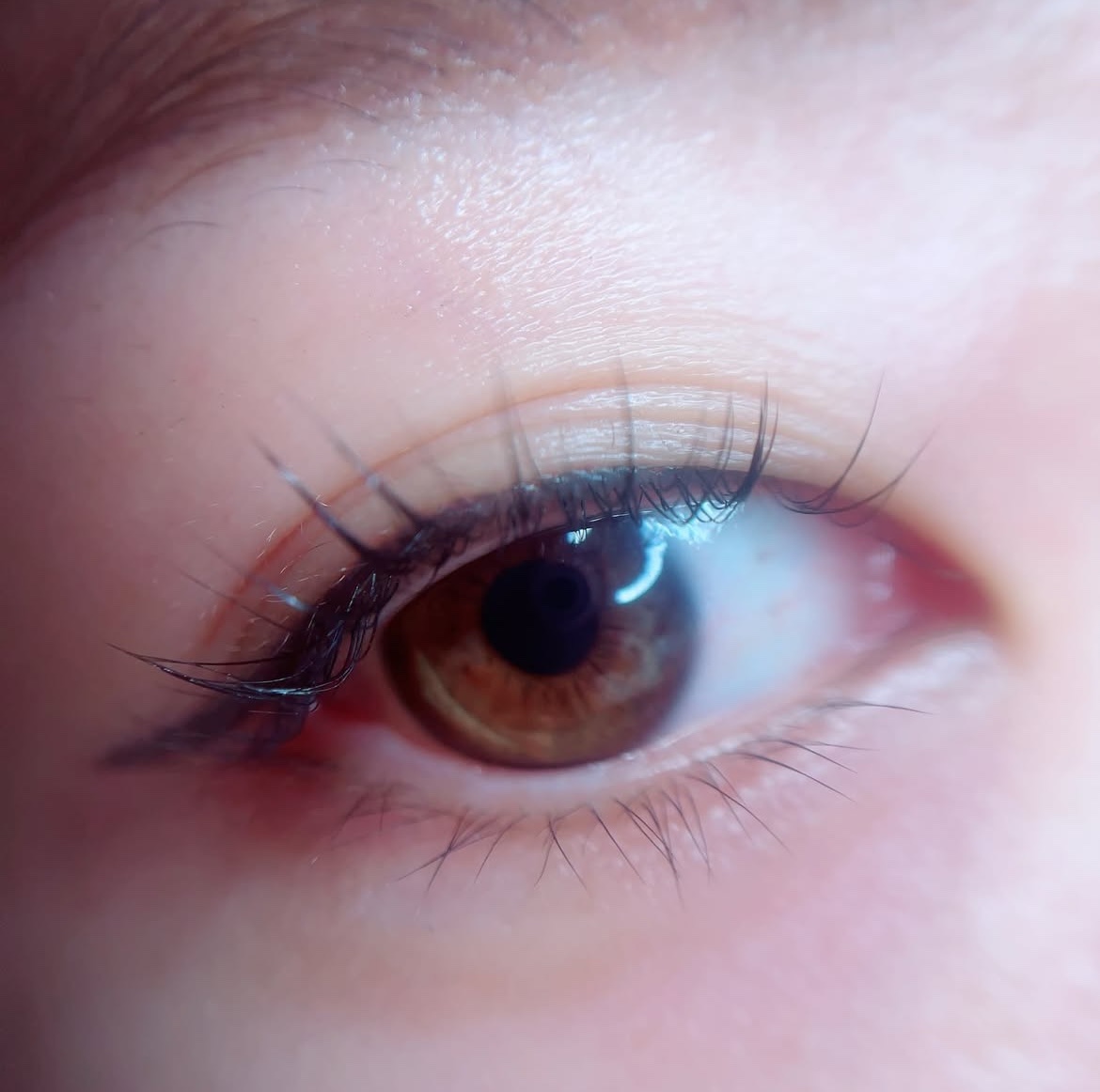 ブラックファイバー120 スーパーハードタイプ 120本入/メザイク/二重まぶた用アイテムを使ったクチコミ（2枚目）