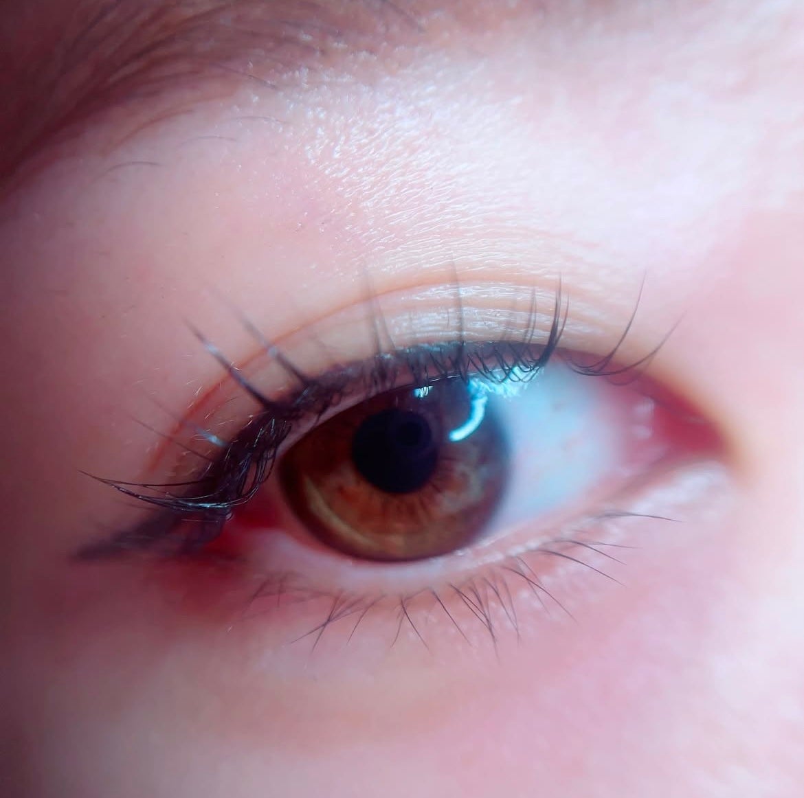 メザイク クリップ カッター ファイバー専用カッター/メザイク/二重まぶた用アイテムを使ったクチコミ(2枚目)