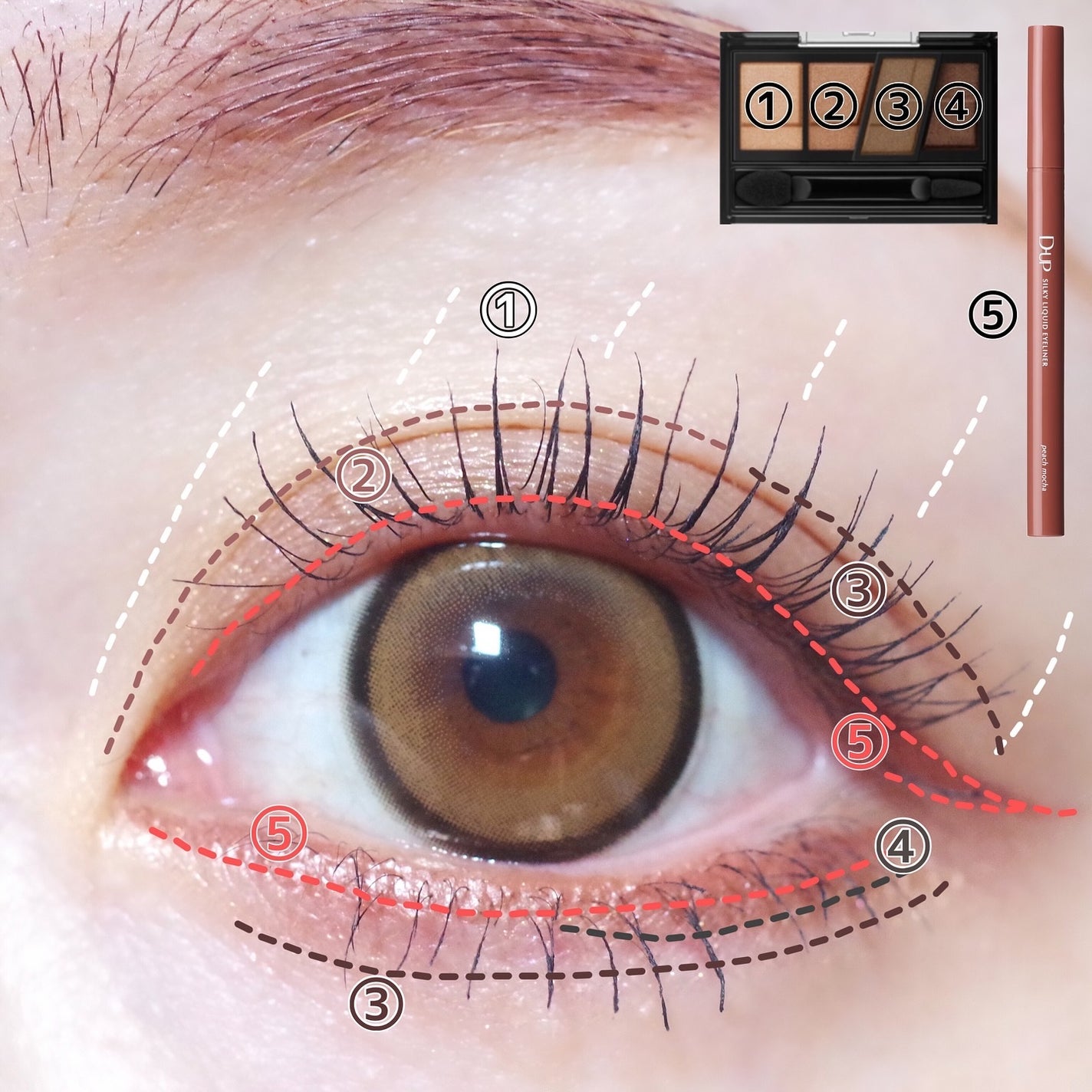 デザイニングブラウンアイズ/KATE/アイシャドウパレットを使ったクチコミ(5枚目)