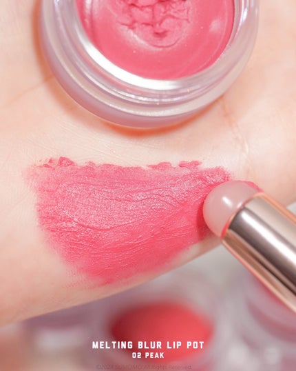 メルティングブラーリップポット/HOLIKA HOLIKA/口紅を使ったクチコミ(6枚目)