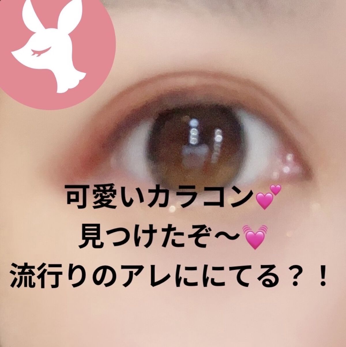 Secretive Kristen/Hapa kristin/カラーコンタクトレンズを使ったクチコミ（1枚目）